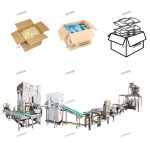Automatic small pouches forming filling sealing conveying & carton filling line