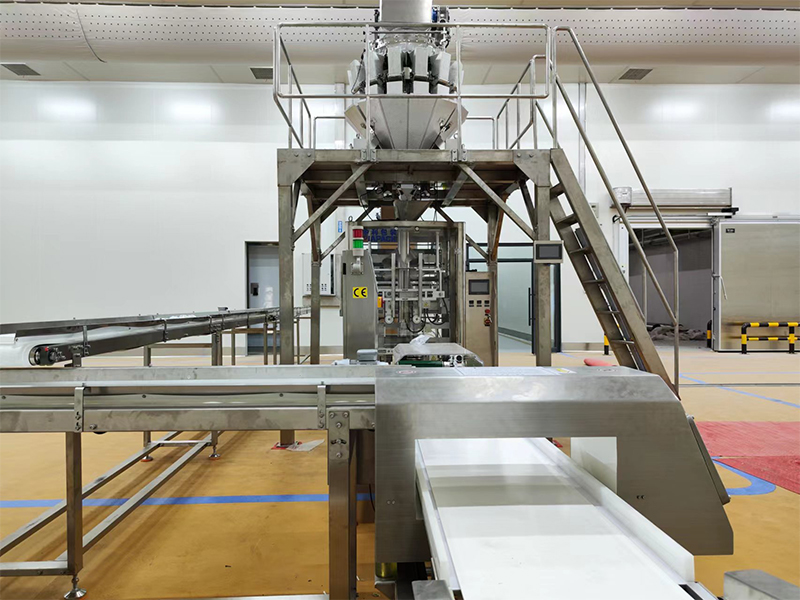 გაყინული საკვების ავტომატური შესაფუთი მანქანა.6