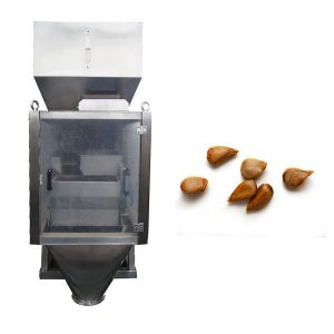 წრფივი იოგერი 2 ხელმძღვანელი ხაზოვანი მასშტაბი